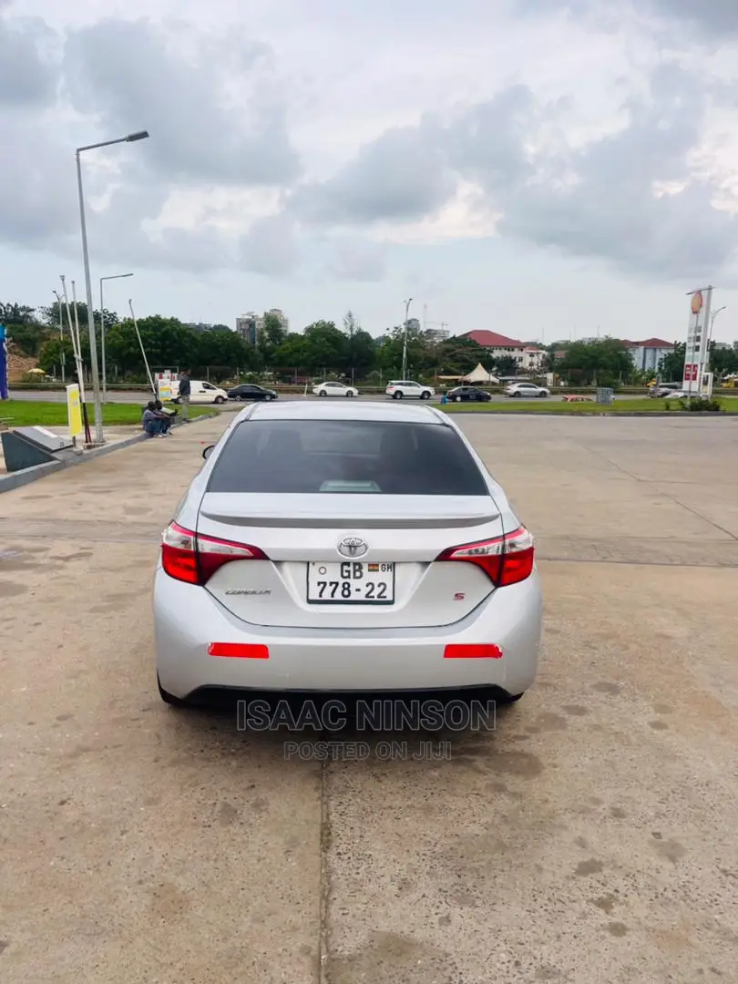 Car Rentals