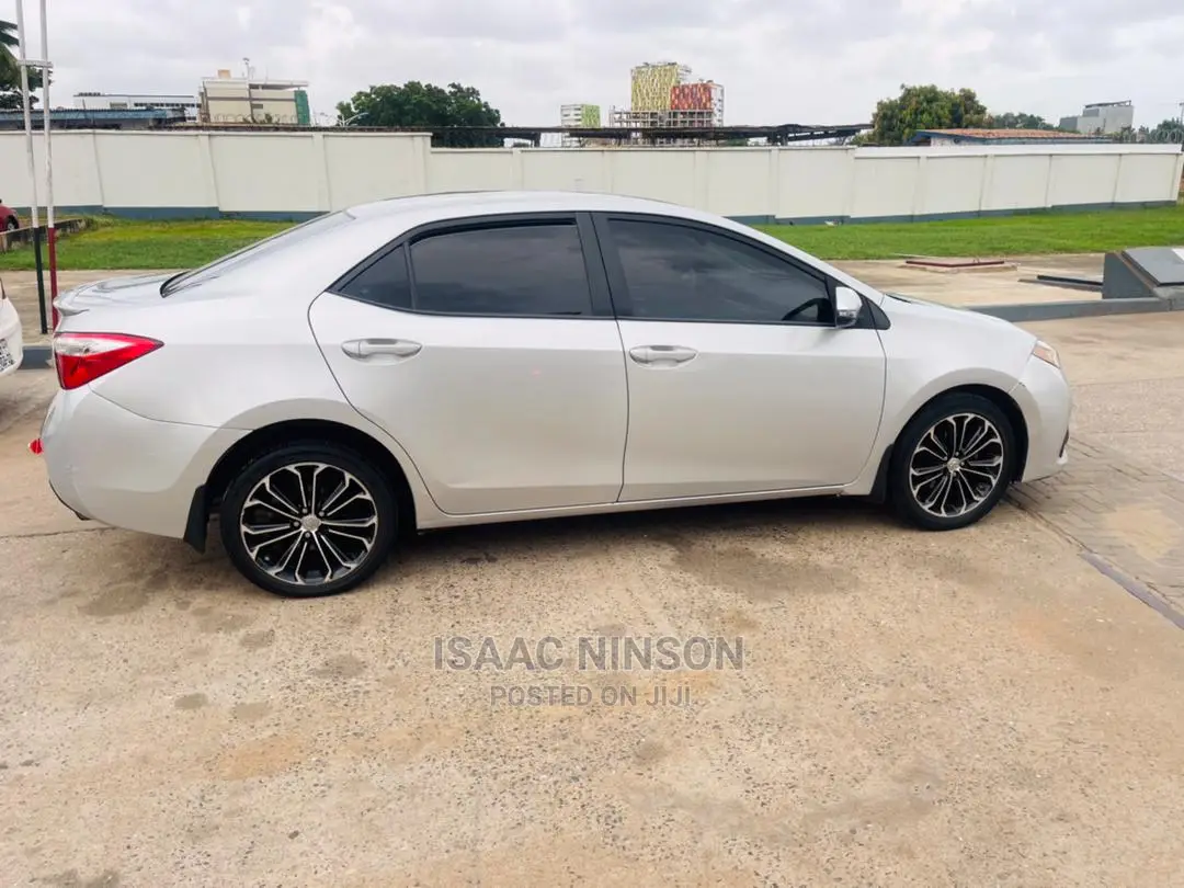 Car Rentals