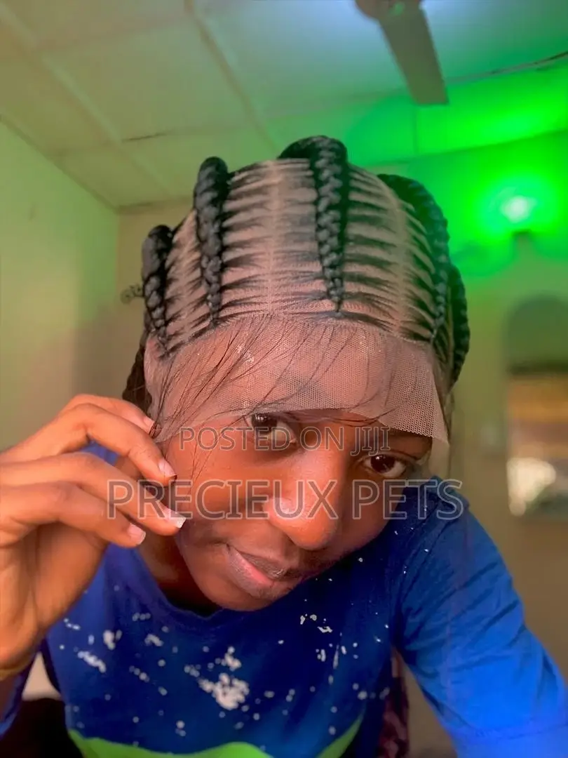 Full Lace Braided Wig