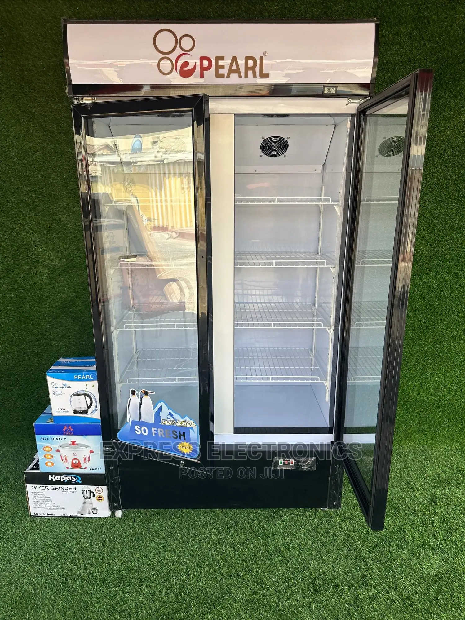 Food Safe Plastic Body Design Pearl Display Fridge 2door