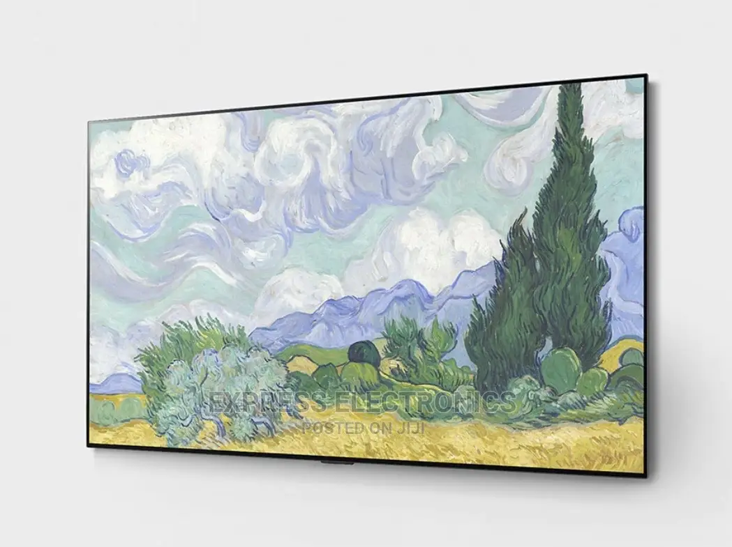 Self-Lit OLED Evo OLED65G1PVA LG Tv