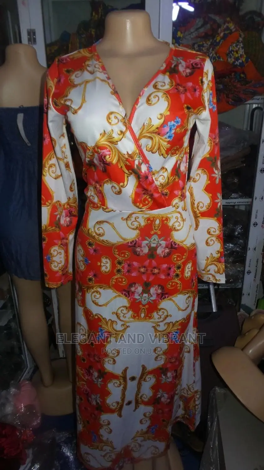 Beautiful Ladies Dress