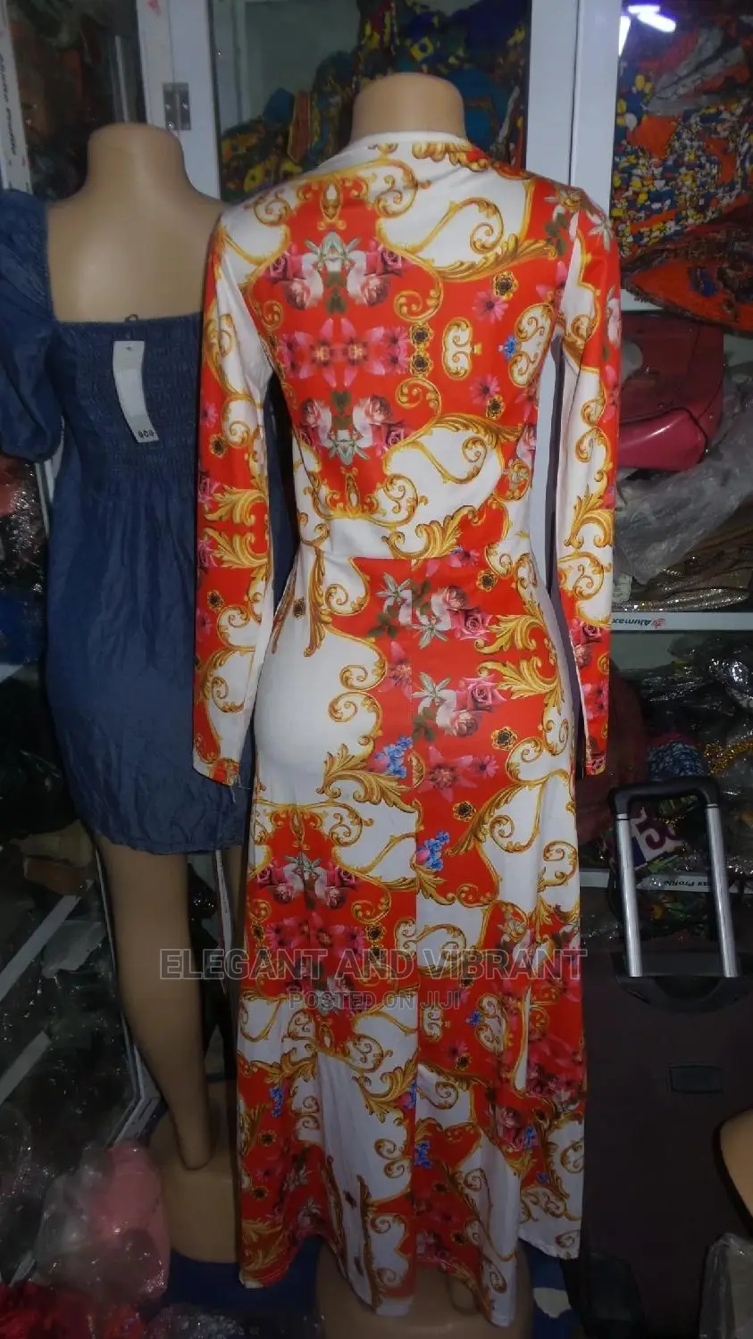 Beautiful Ladies Dress