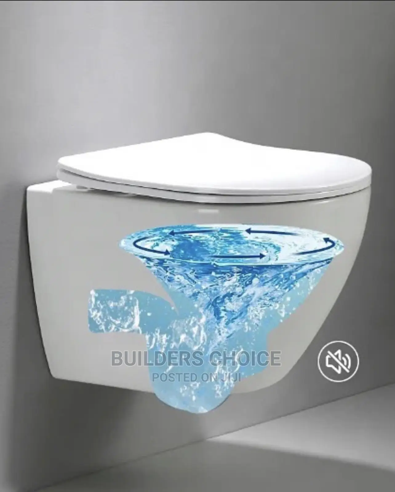 Concealed Water Closet_ With Its Cistern_hanging WC