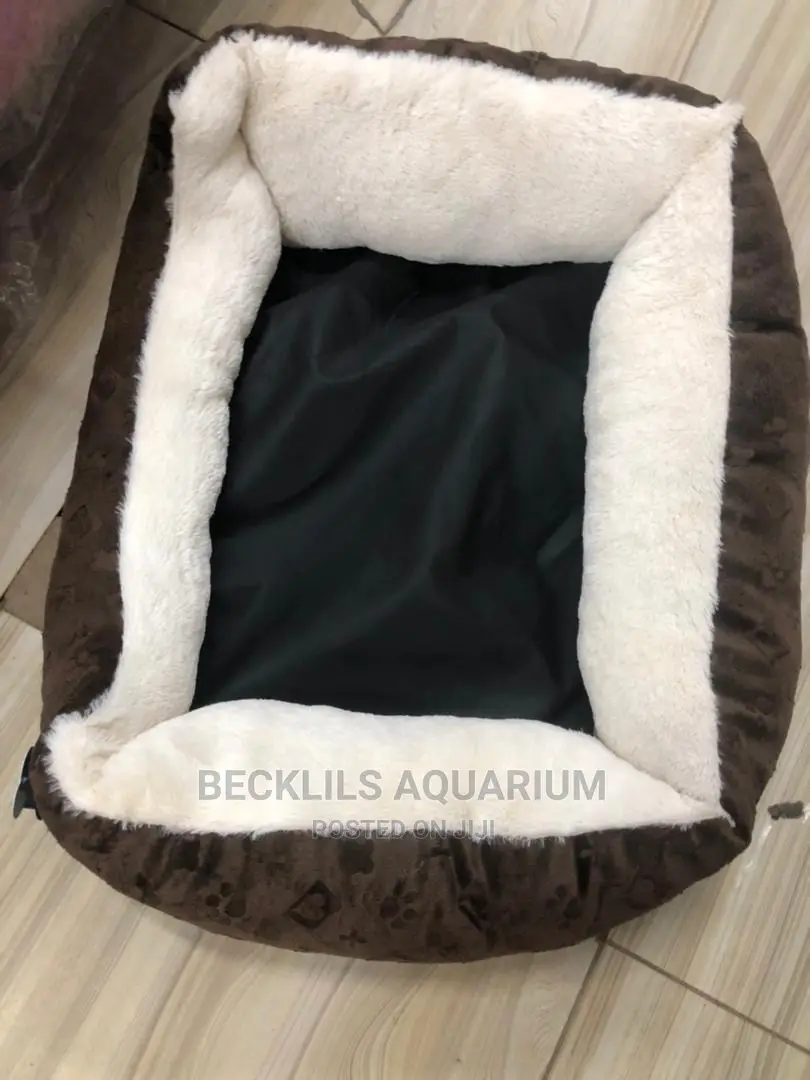 Beds for Small Dogs