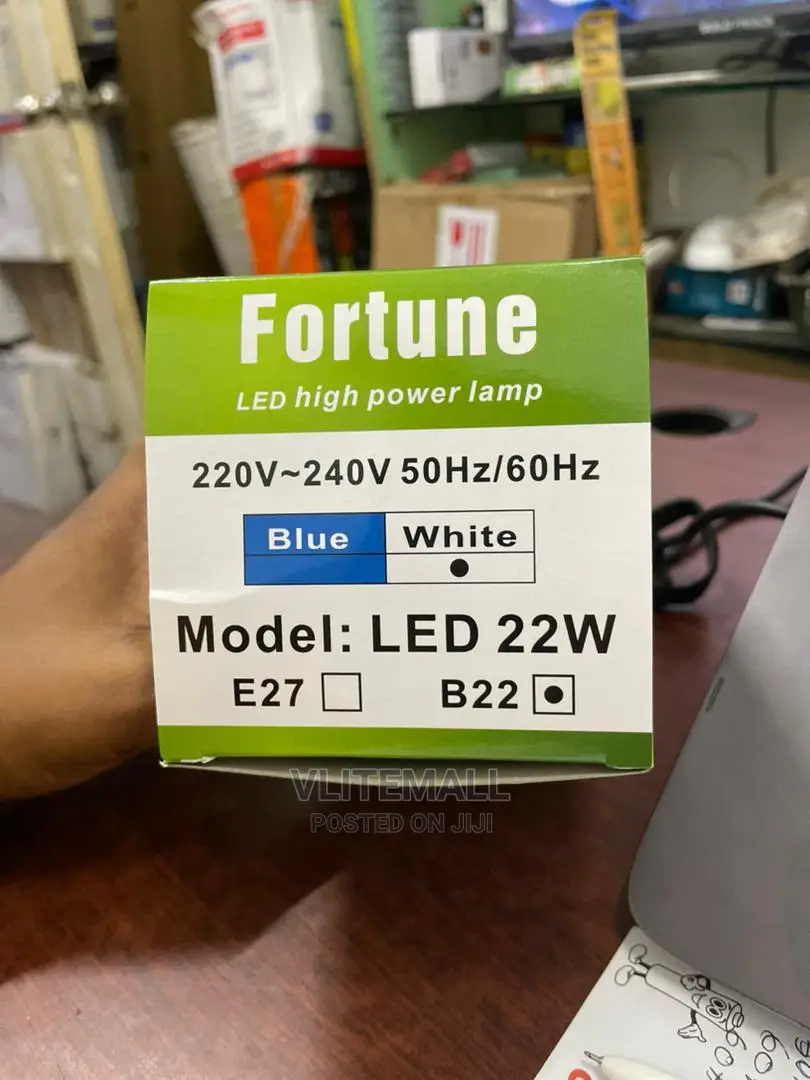 Fortune 22W LED Onion Bulb