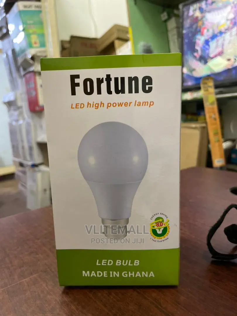 Fortune 22W LED Onion Bulb