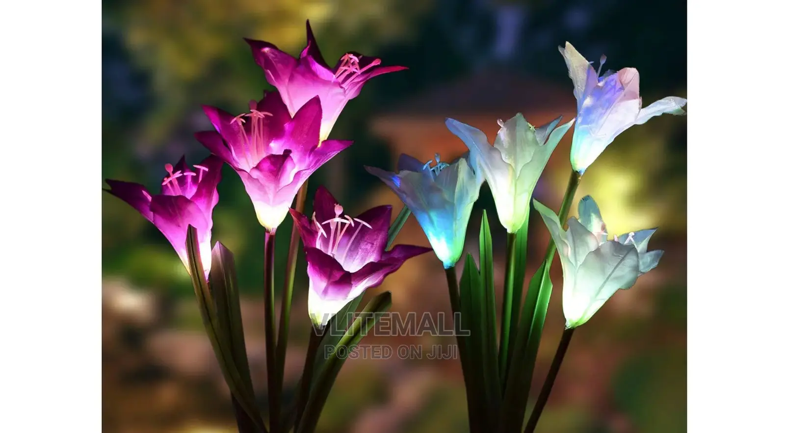 Solar Garden Flower Lights