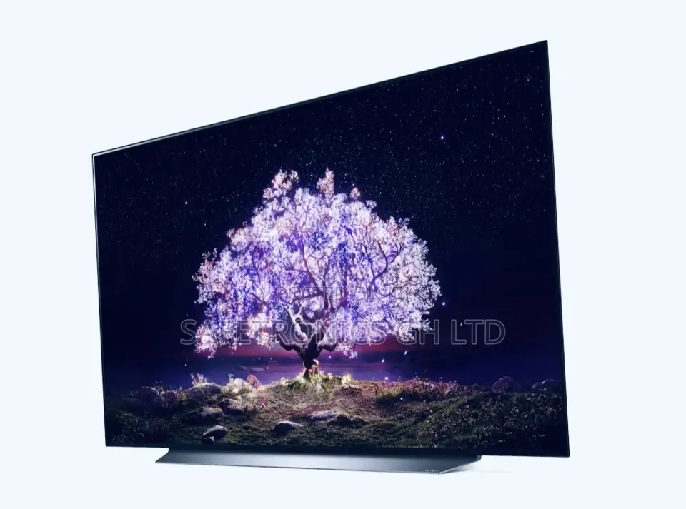 LG OLED TV 65 Inch G1PVA Cinema Screen Design