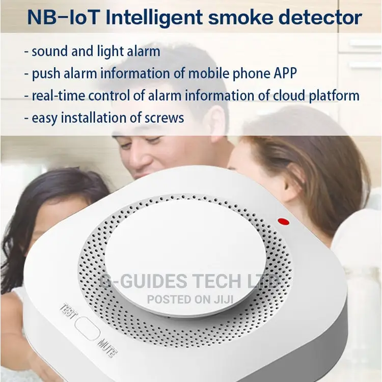 Hivision Wireless Smoke Detector, Standalone Smoke Detector