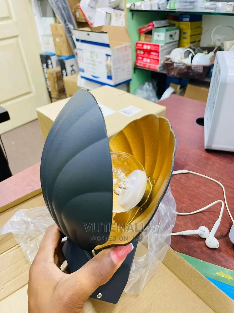 Shell Outdoor/Indoor Wall Light