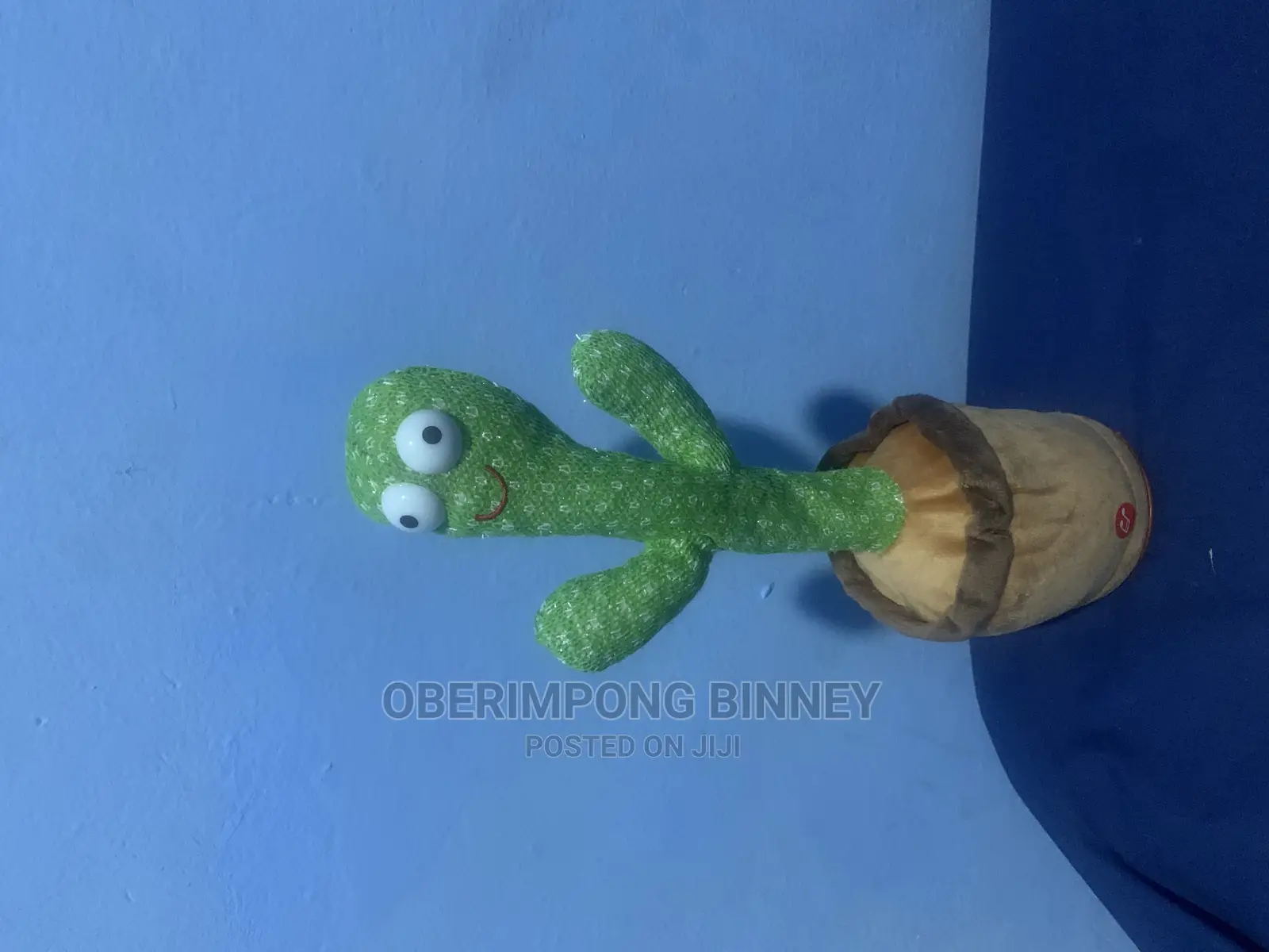 Cactus Children Playing Toy