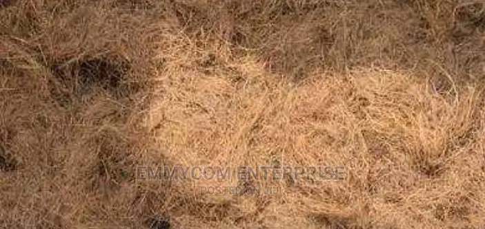 Treated Coconut Fiber
