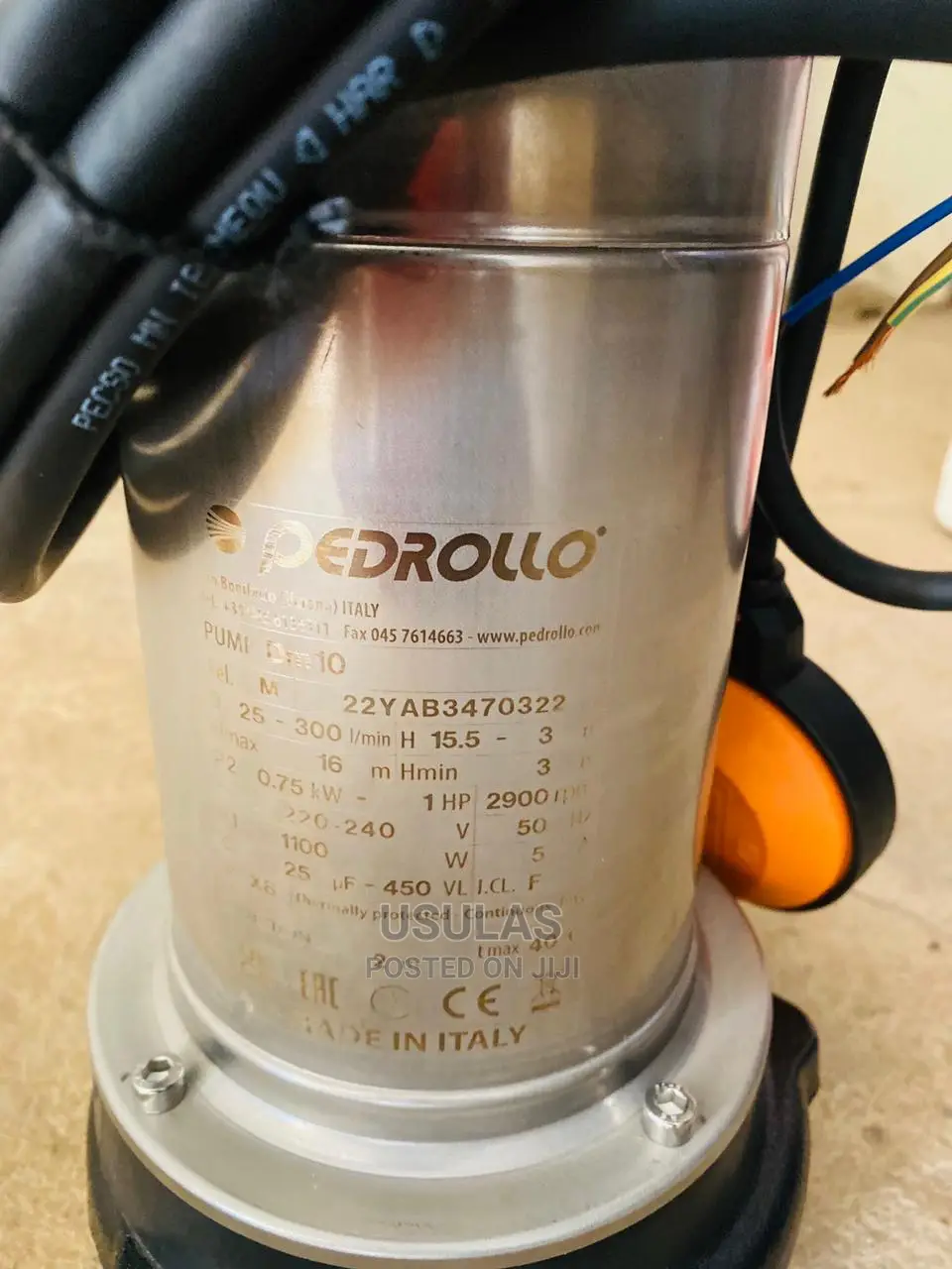 Pedrollo Sewage Pump