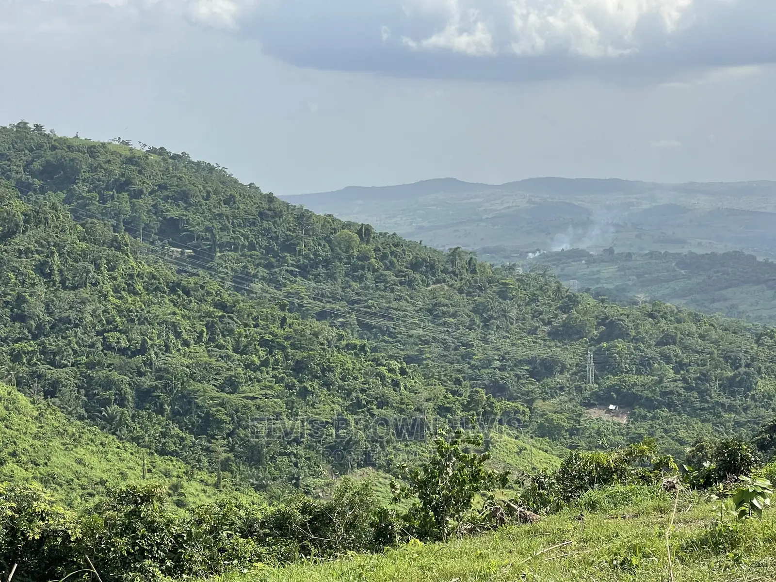 Genuine and Litigation Free Plot of Land for Sale at Abrui