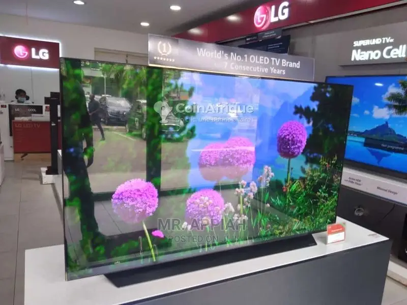 Durable and Affordable LG 55 Inch BX Series Tv(OLED55BXPVA)