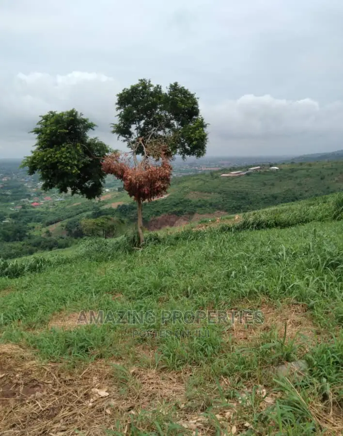 5 Acres of Roadside Land Along Tema-Ashaiman Highway