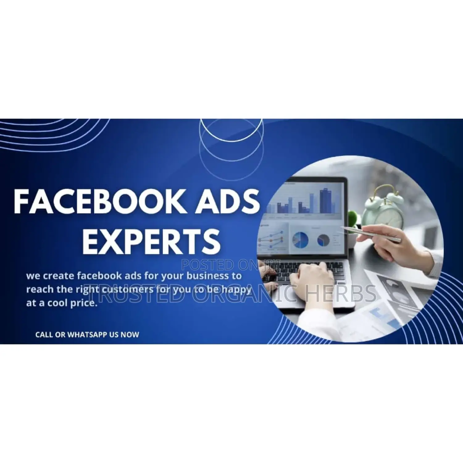 Facebook Ads Expert