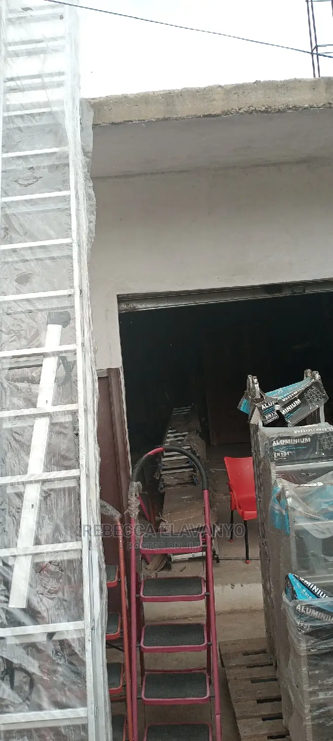 Extension Ladder 2/17