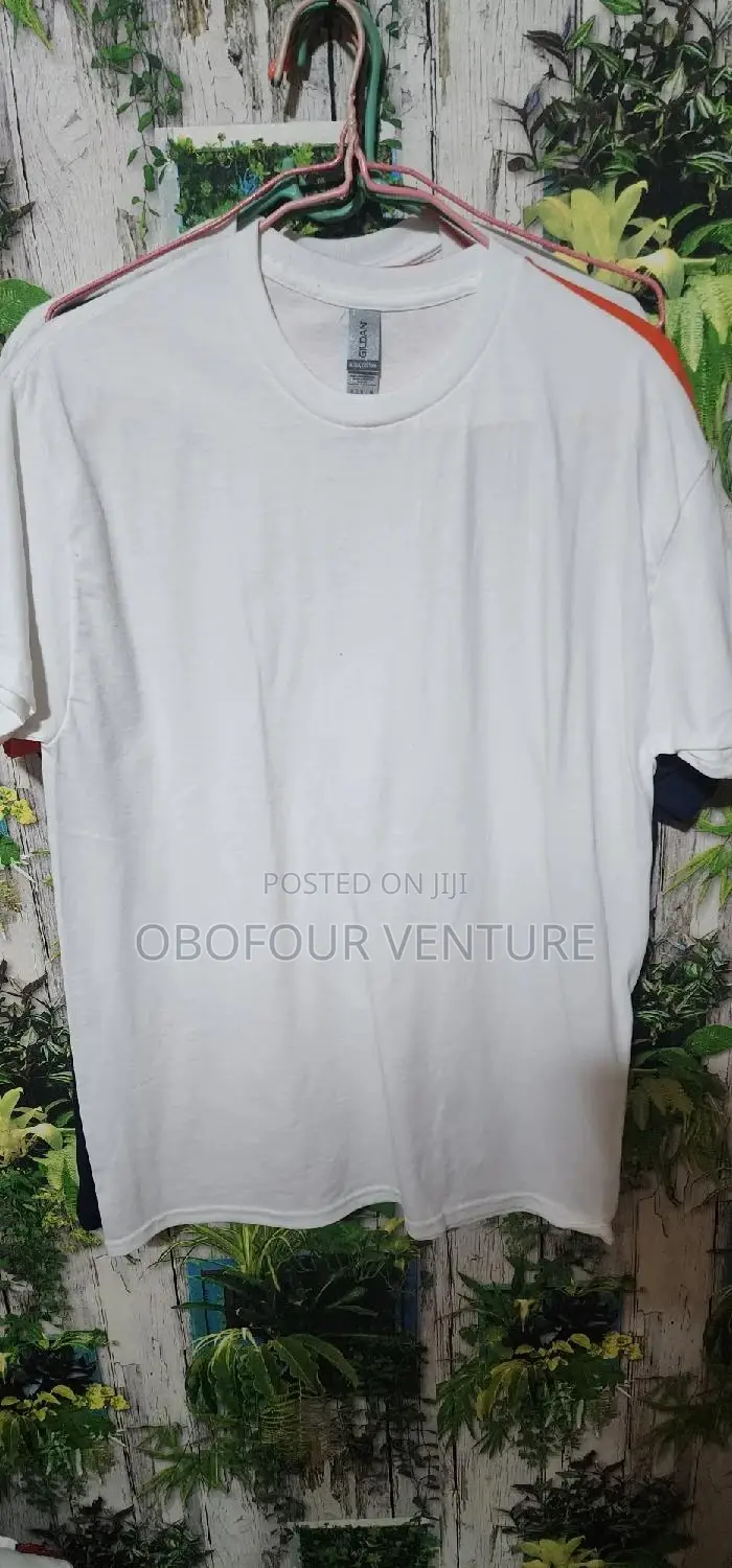 Plain White T-Shirts From the USA 