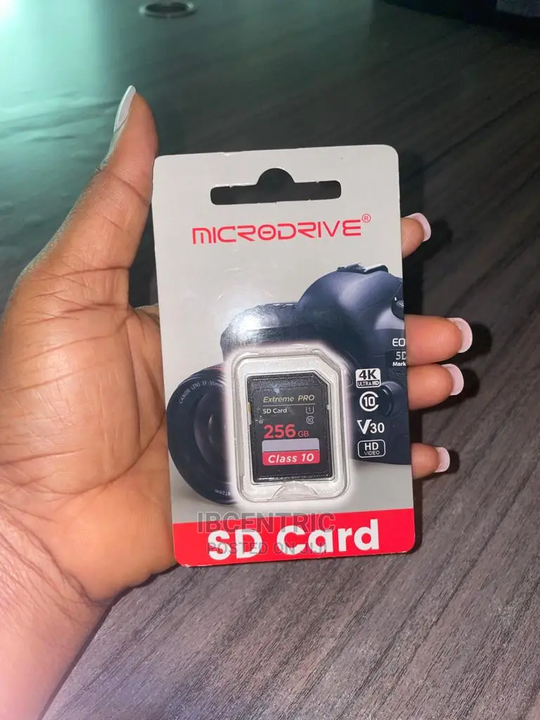 Microdrive 256GB Camera SD Card