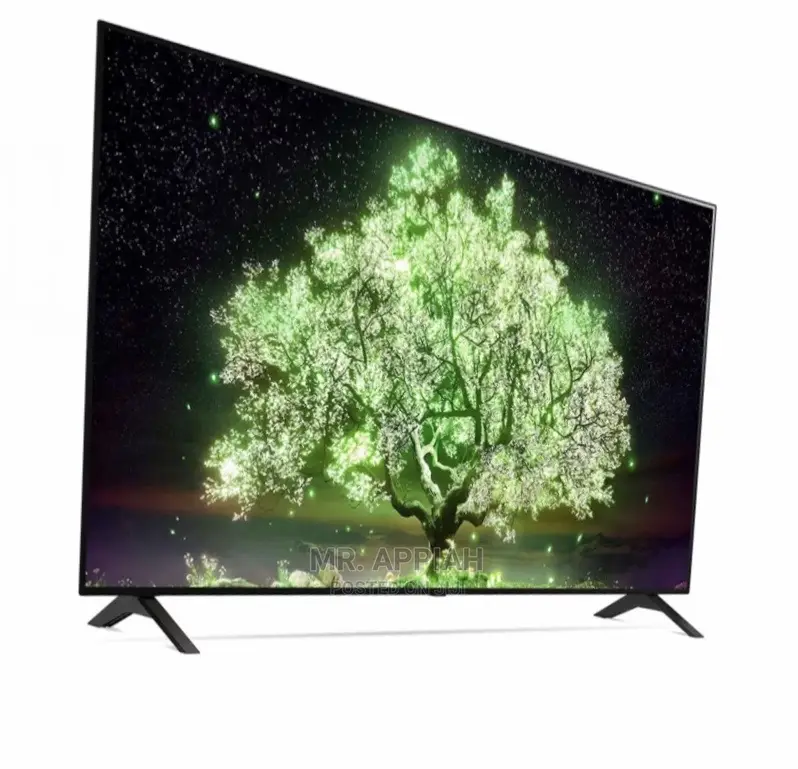 Budget-Friendly OLED 55” Smart Tv on Sale(OLED55A1PVA)