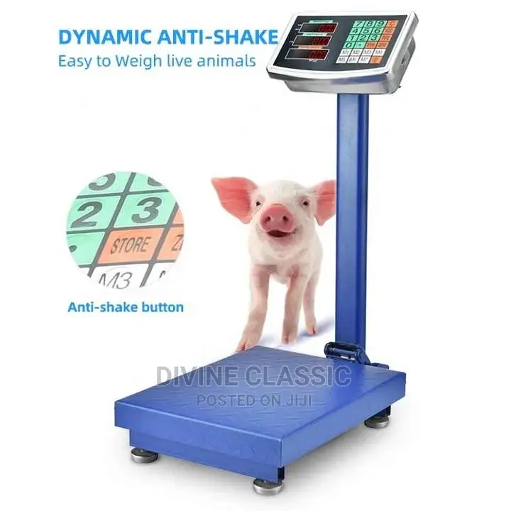 180kg Electronic Platform Scale