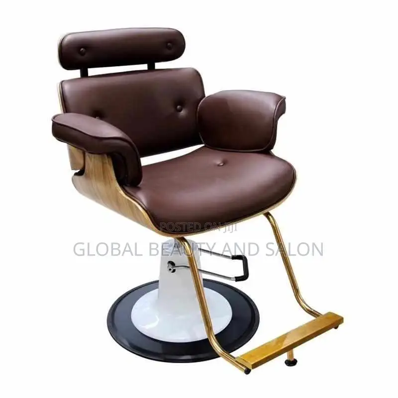 Barber and Salon Chair