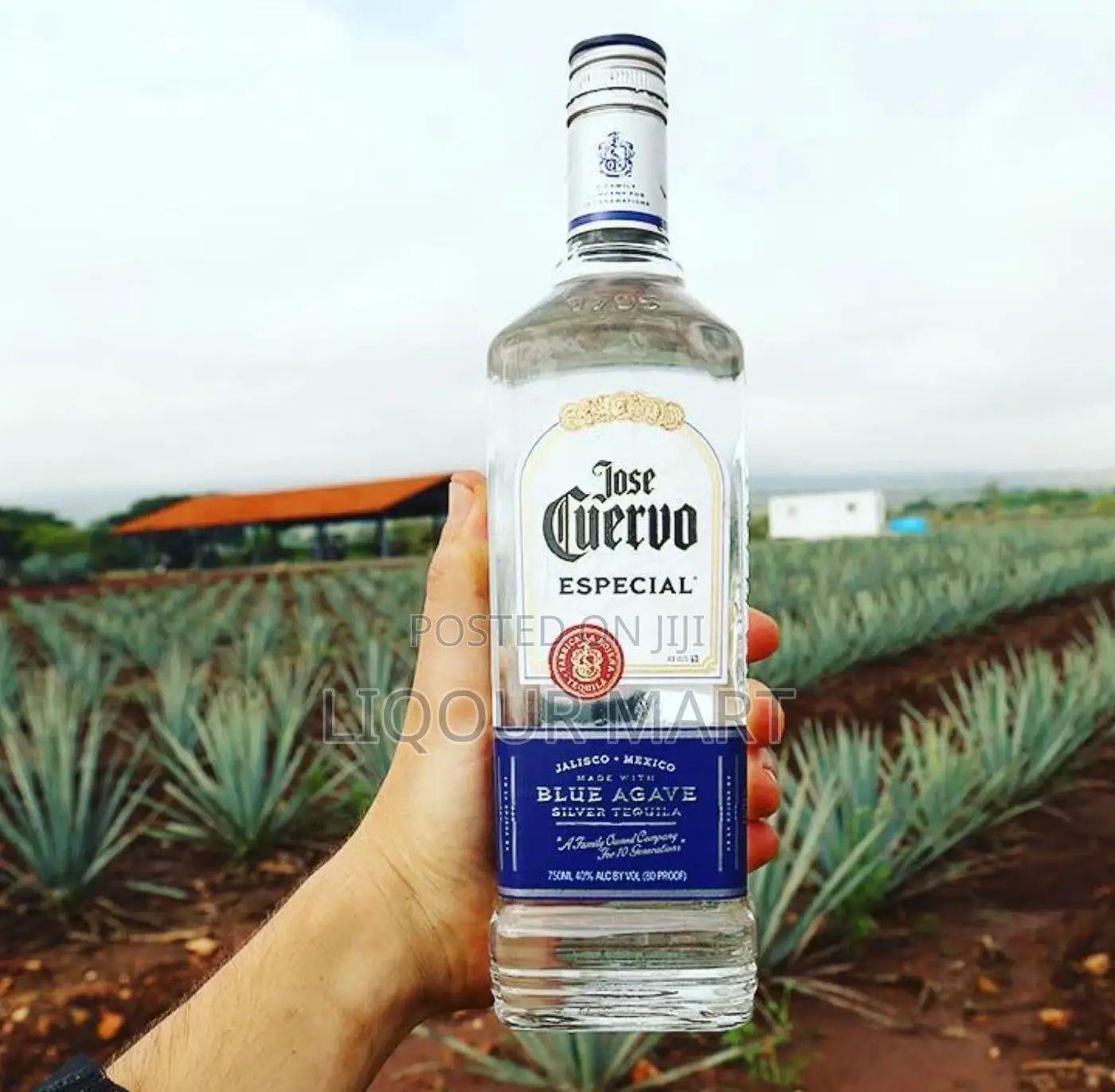 Jose Cuervo Blue Agave Silver Tequila 75ml