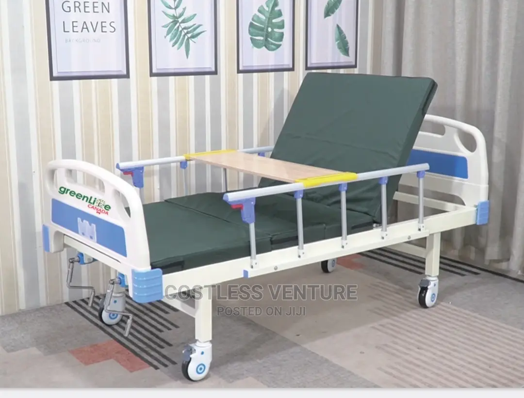 Ingot 2 Crank Hospital Bed With Mattress