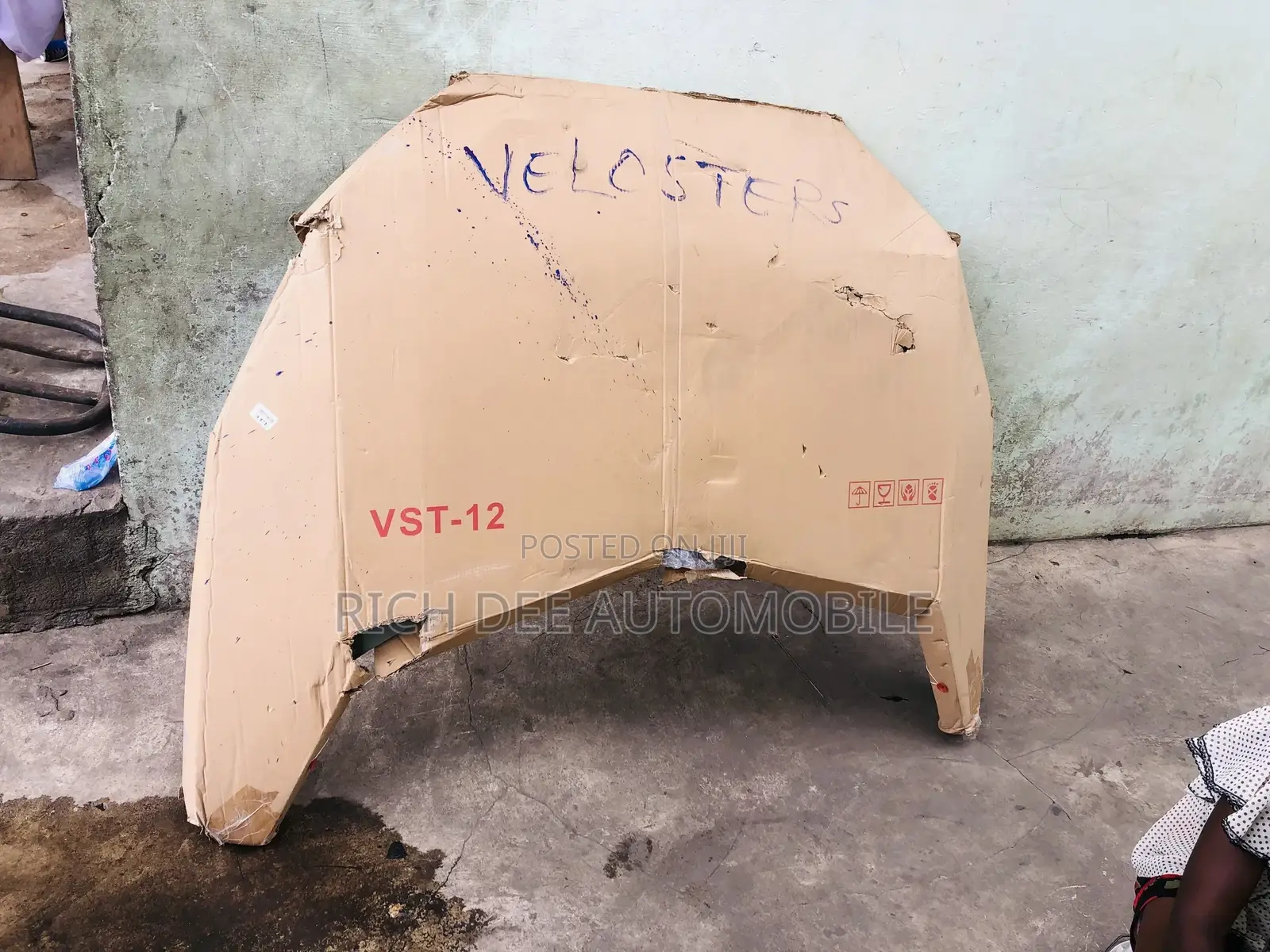 Veloster Bonnet