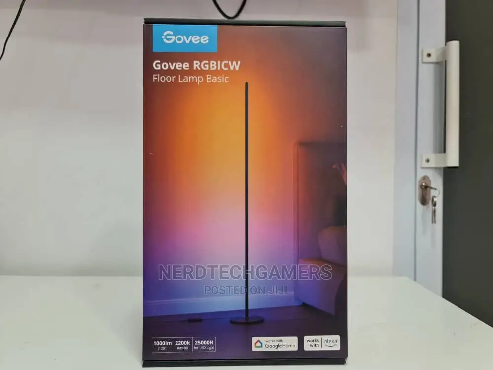 Govee Rgbic Floor Lamp Basic