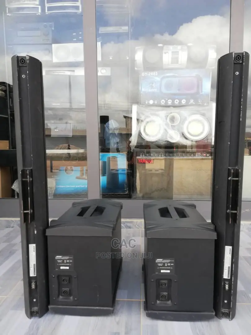 Bose B1 Bass Modules and Bose Panaray MA 12 Line Arrays