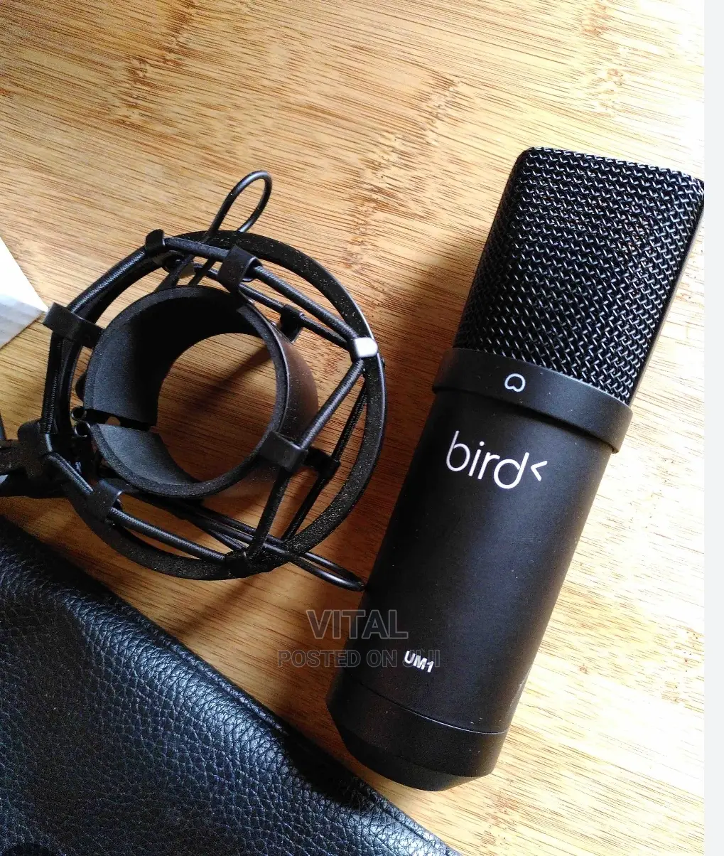 USB Mic for Studio and Live Streaming /Bird Um1