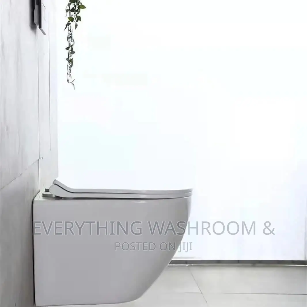 Concealed Wc-wall Mount Wc-modern Wc-concealed Water Closet