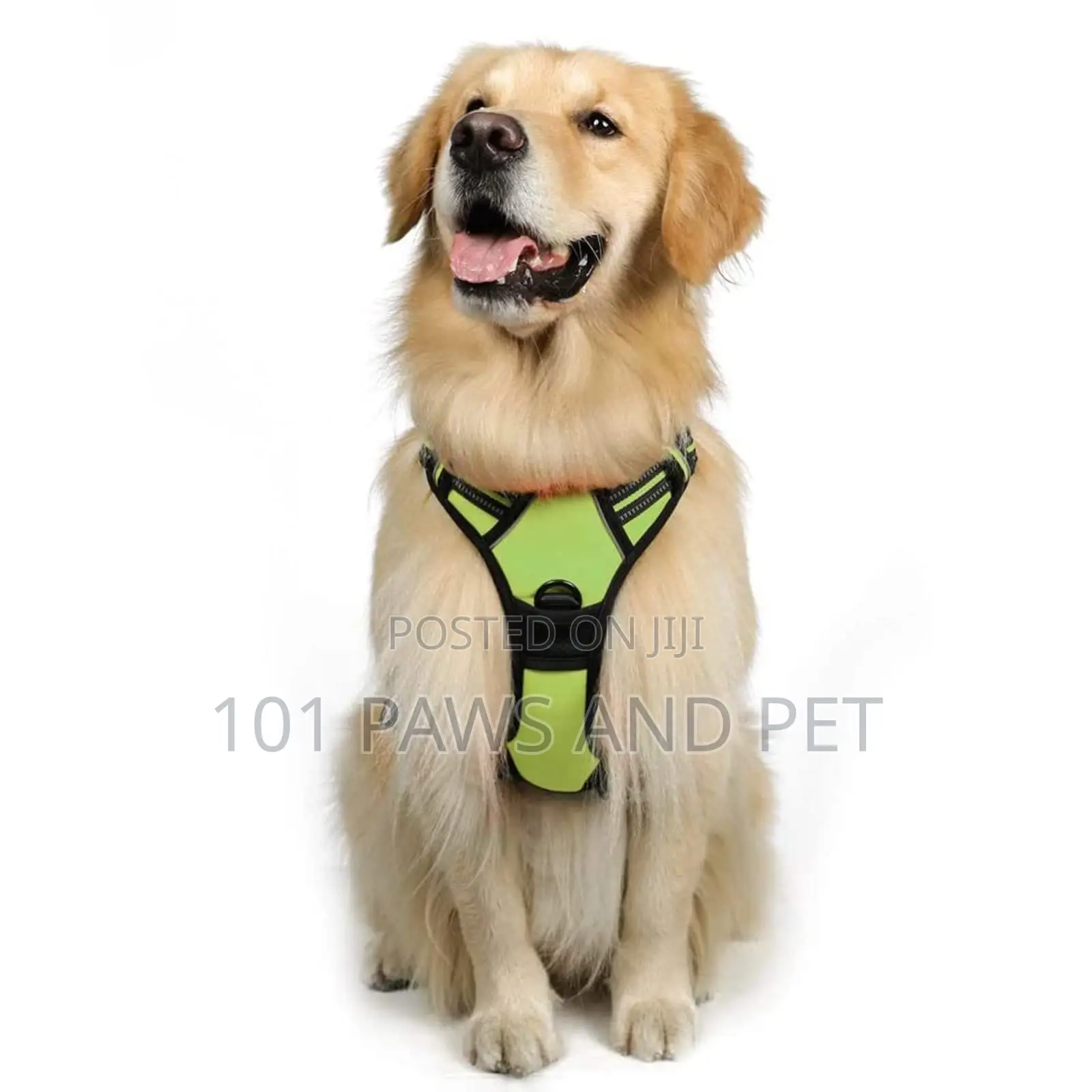 Escape Proof Dog Harness,Walking Hiking Training, L, Blue