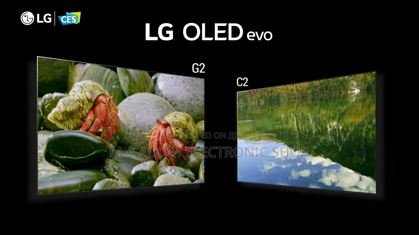 Lg OLED C2 77 Led Tv