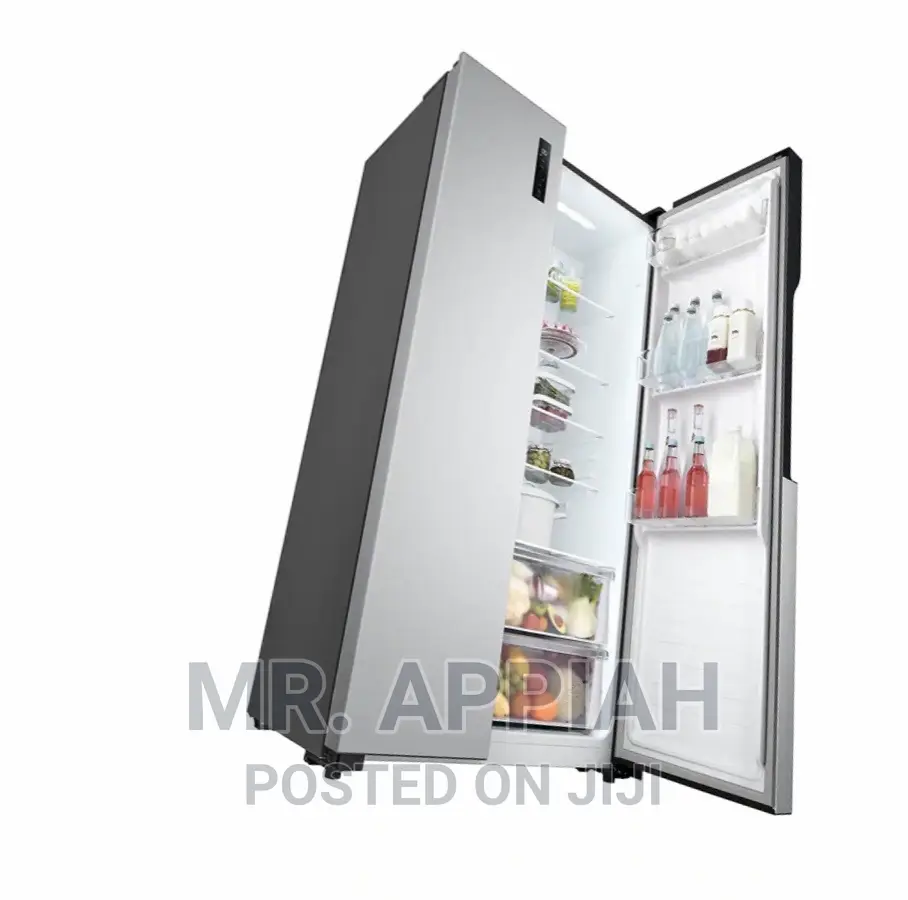 High Quality LG GCFB507PQAM Side by Side Refrigerator(519).