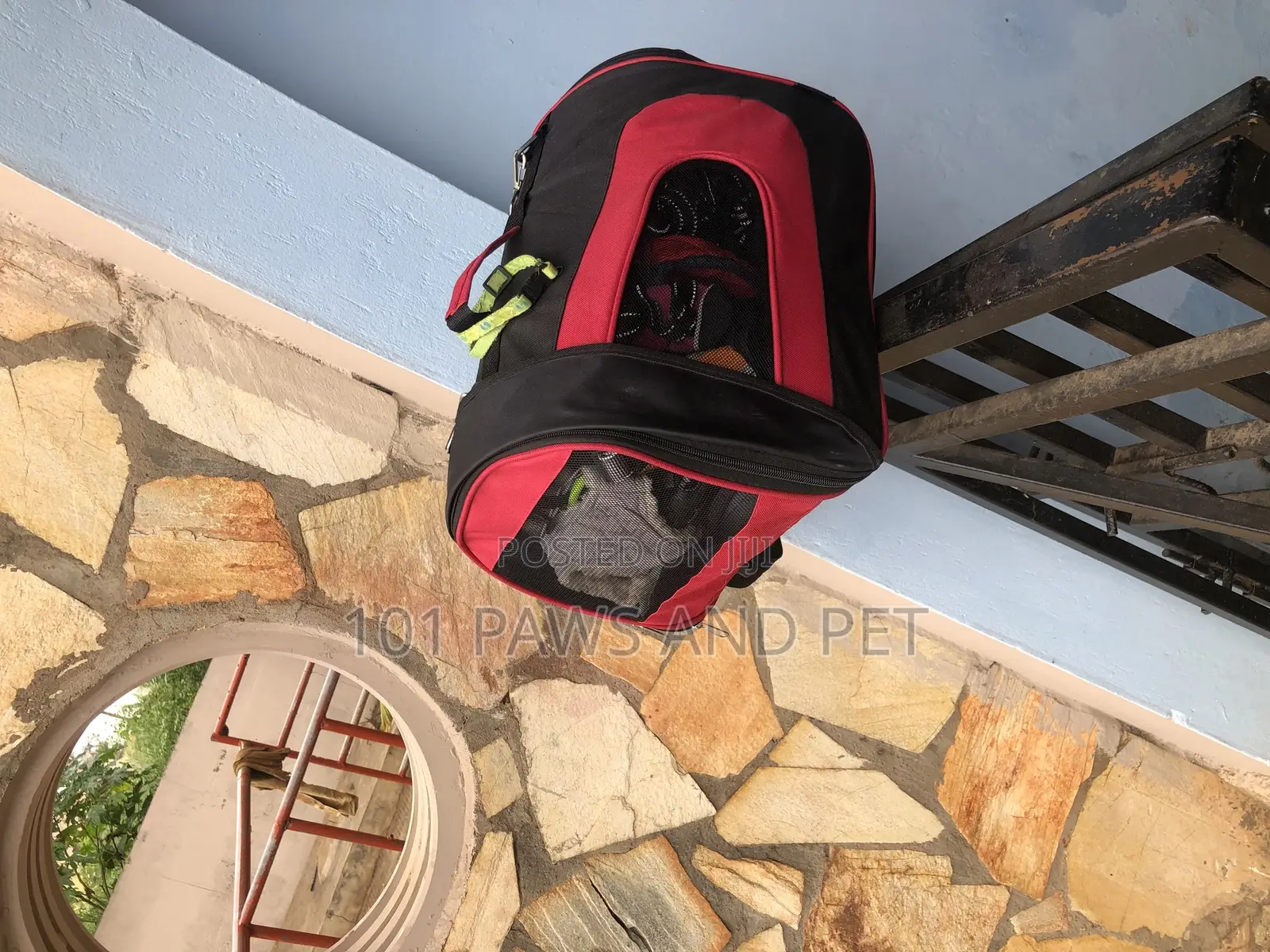 Pet Carrier Available