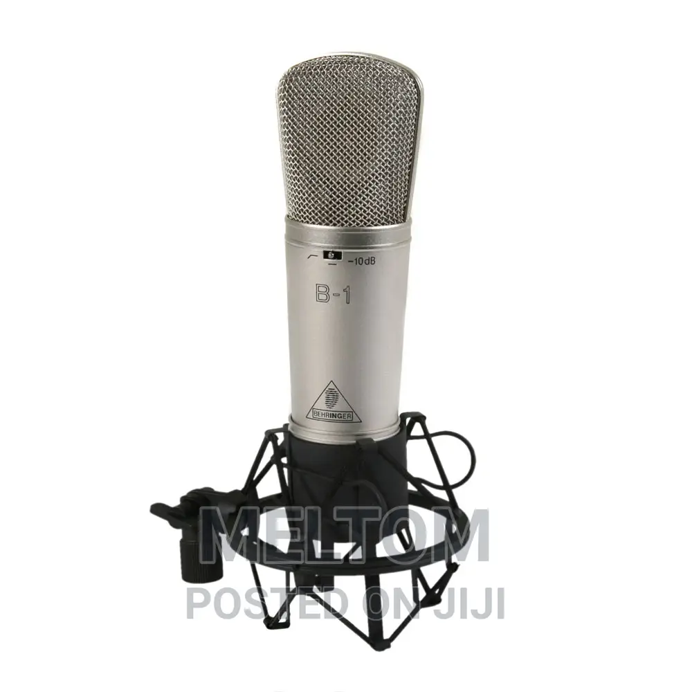 Behringer B-1 Studio Condenser Microphone