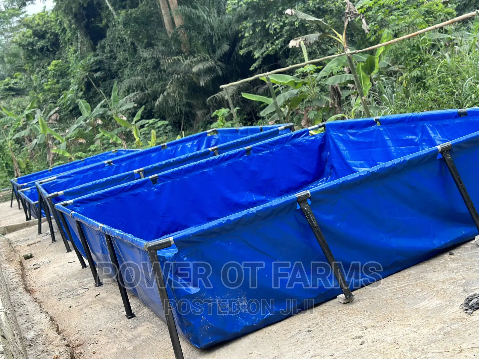 Tank for Fish Farming