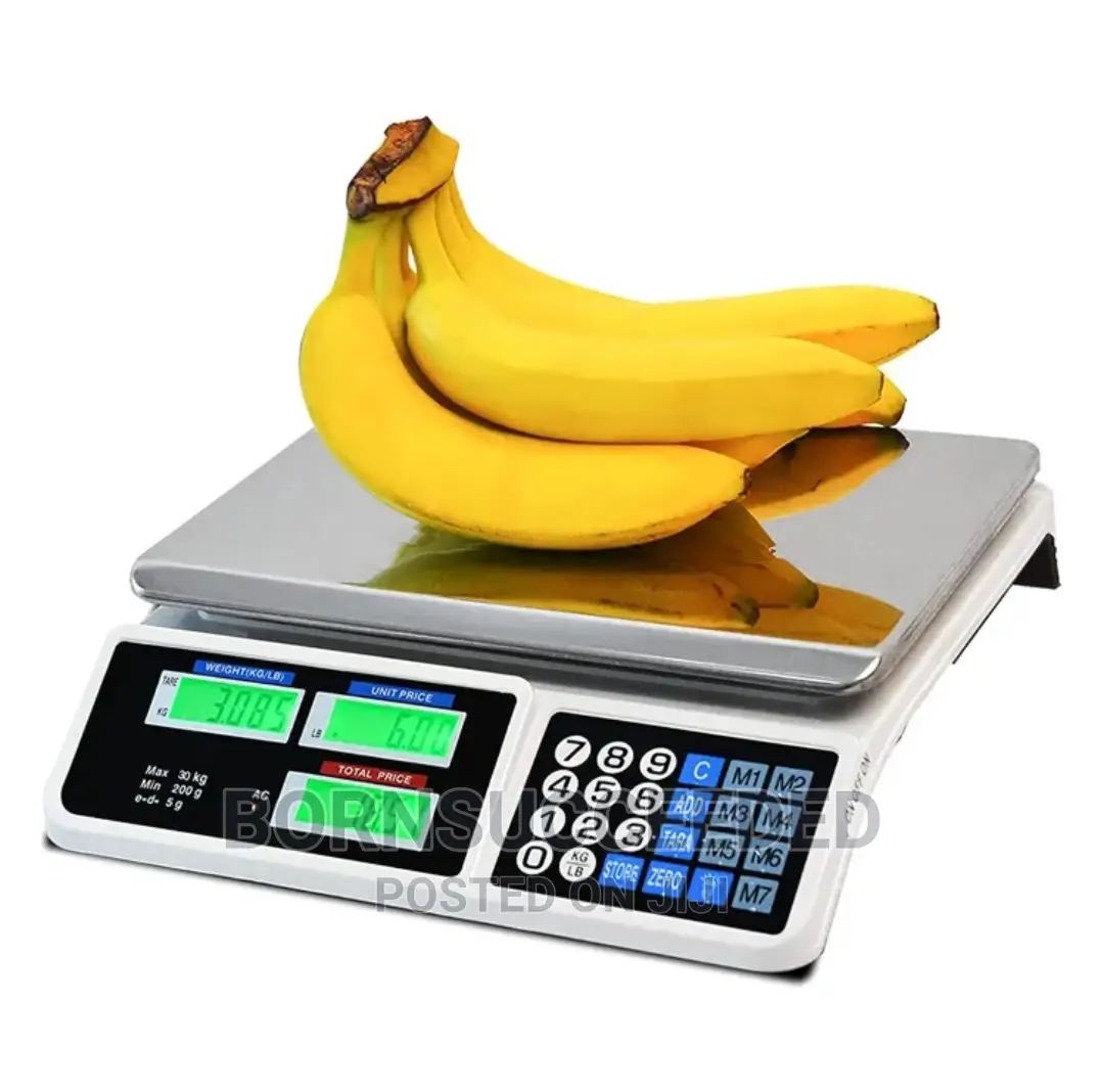 Digital Stainless Steel Price Computing Scale
