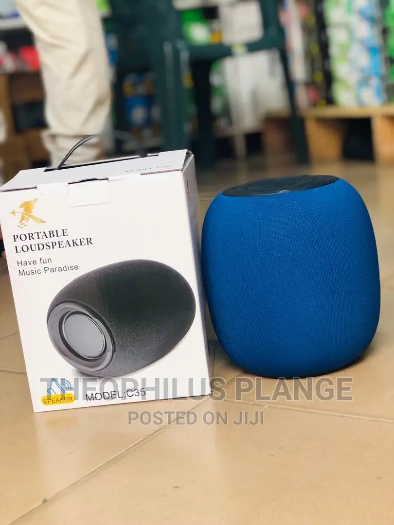 Portable Loud Speaker