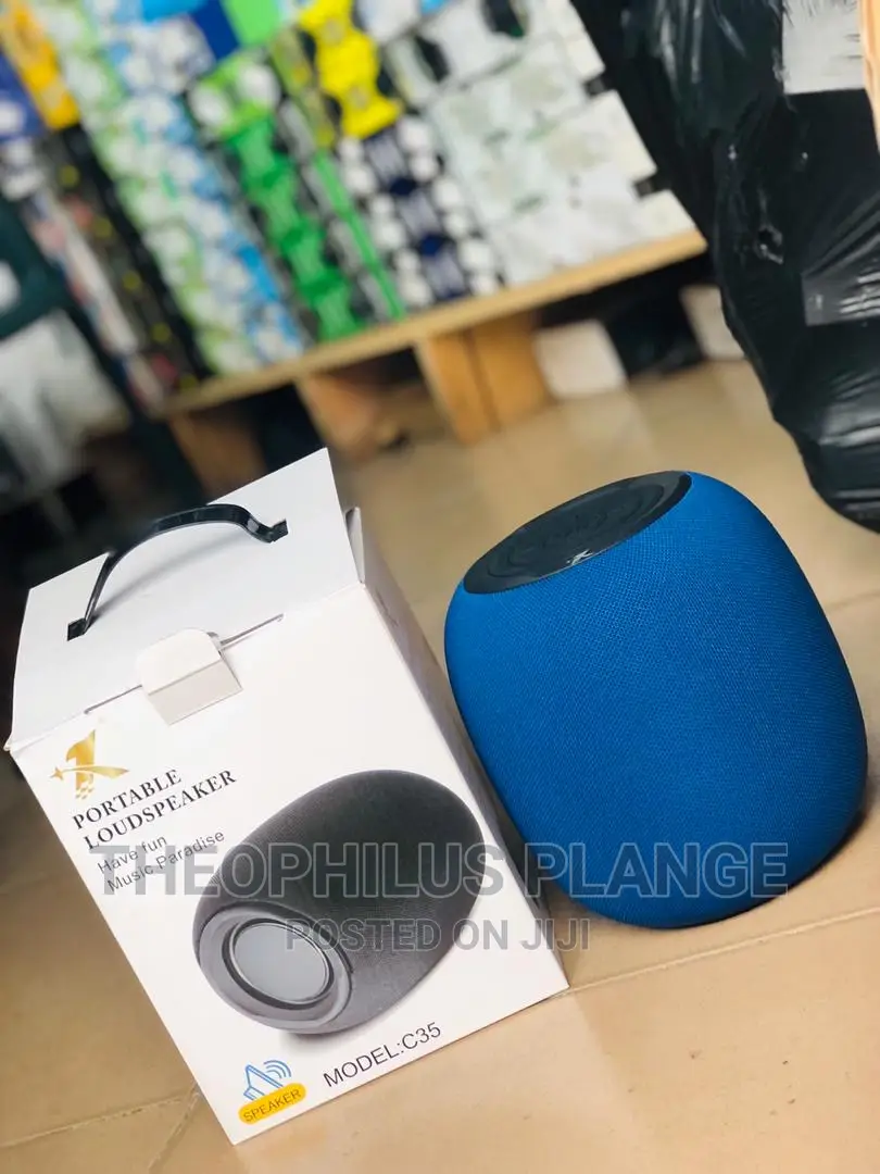 Portable Loud Speaker