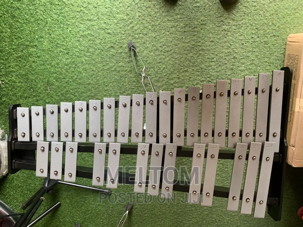 Glockenspiel Xylophone