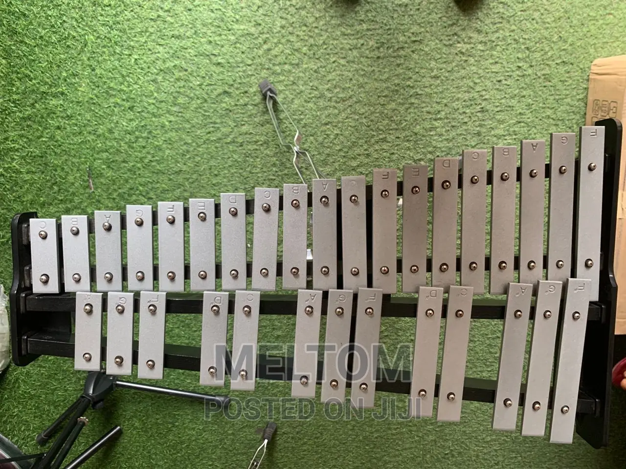 Glockenspiel Xylophone