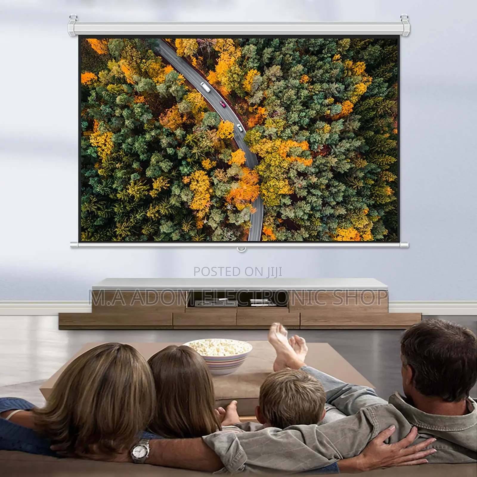 Newly in Stock Projector Screen With Remote Control 