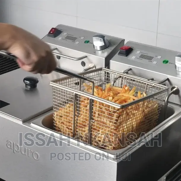 Electric Deep Fryer