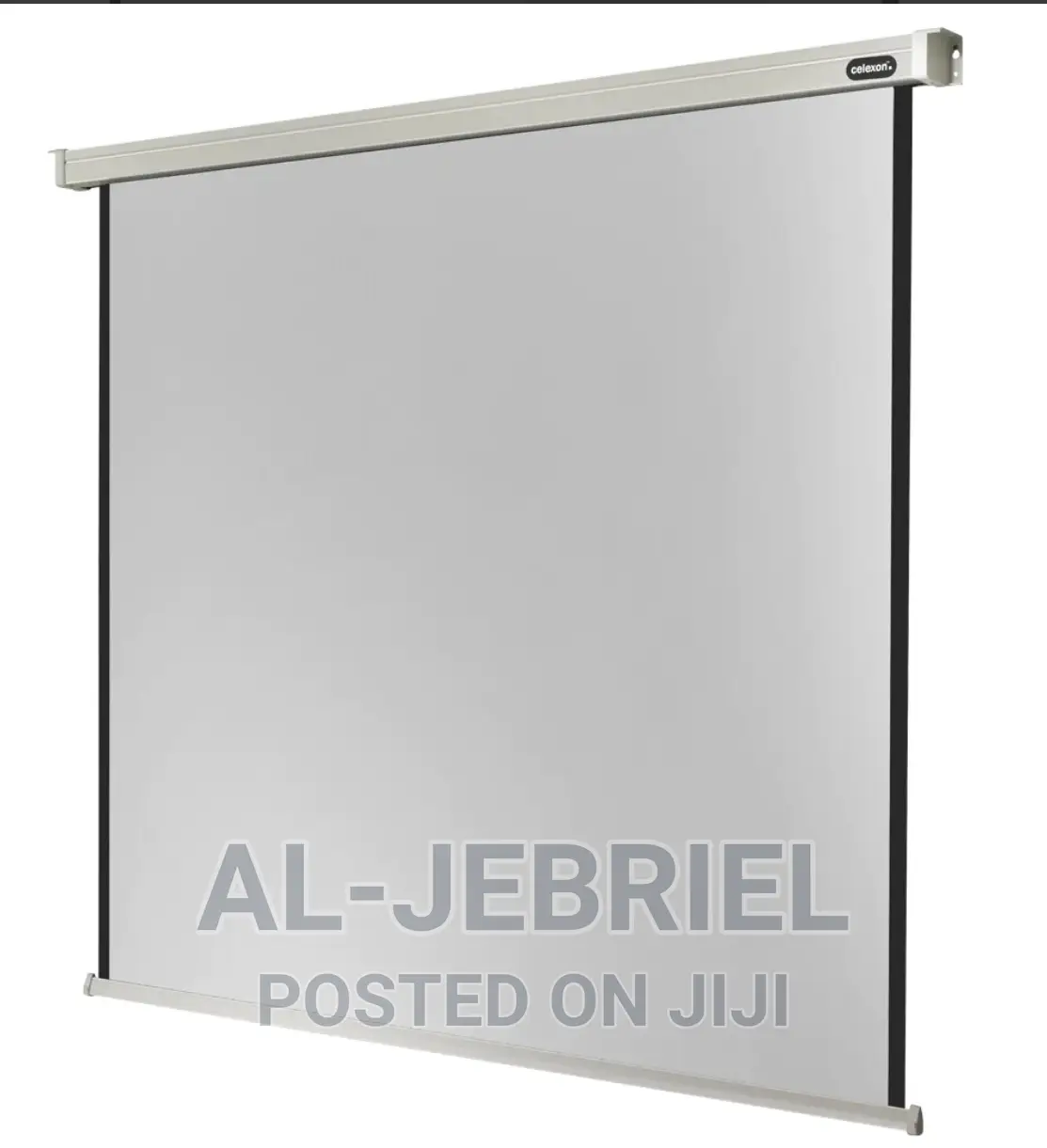 Eldo 300cm Electronic Project Screen