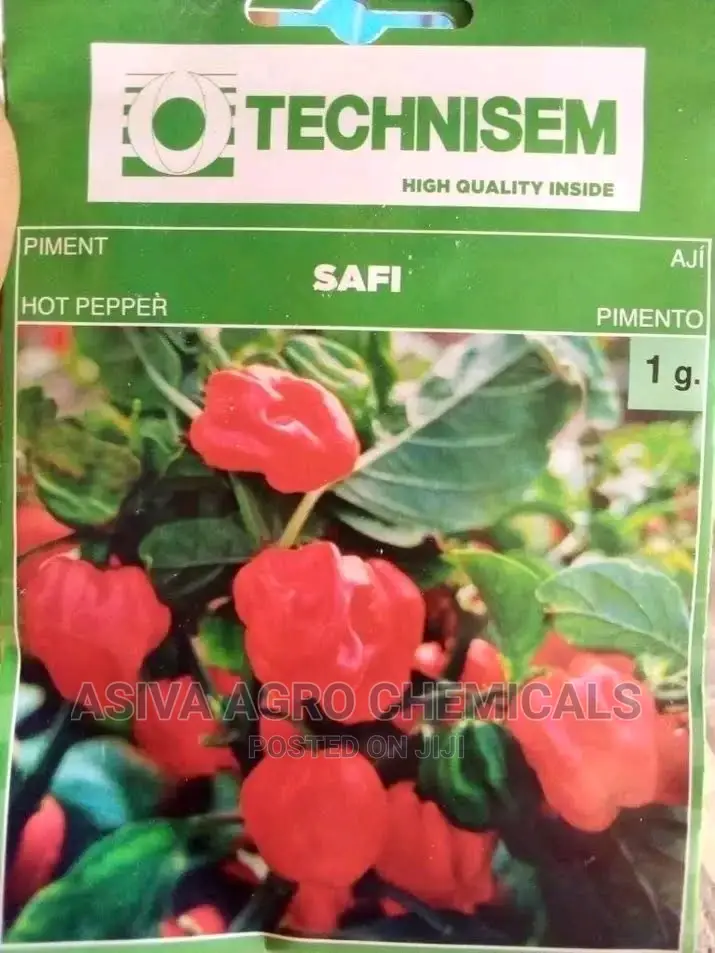 Pepper Seeds
